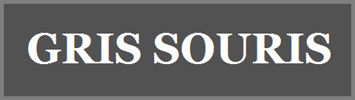 gris_souris.png